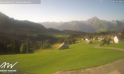 Amden webcam