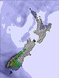Snow map